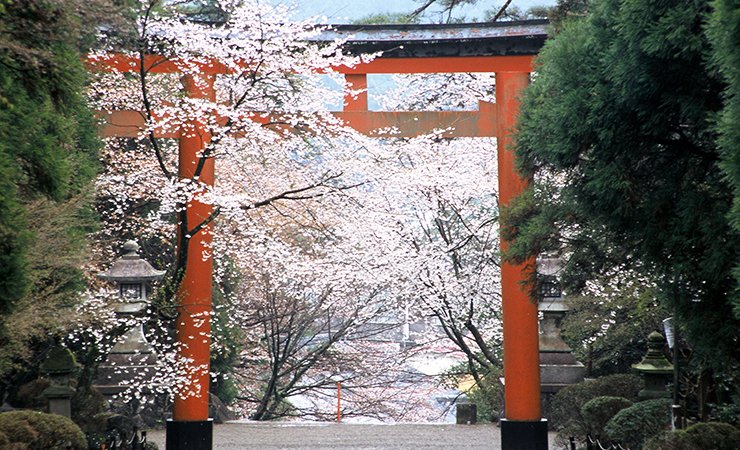 ⛩️ 키리시마 신궁 이미지 4